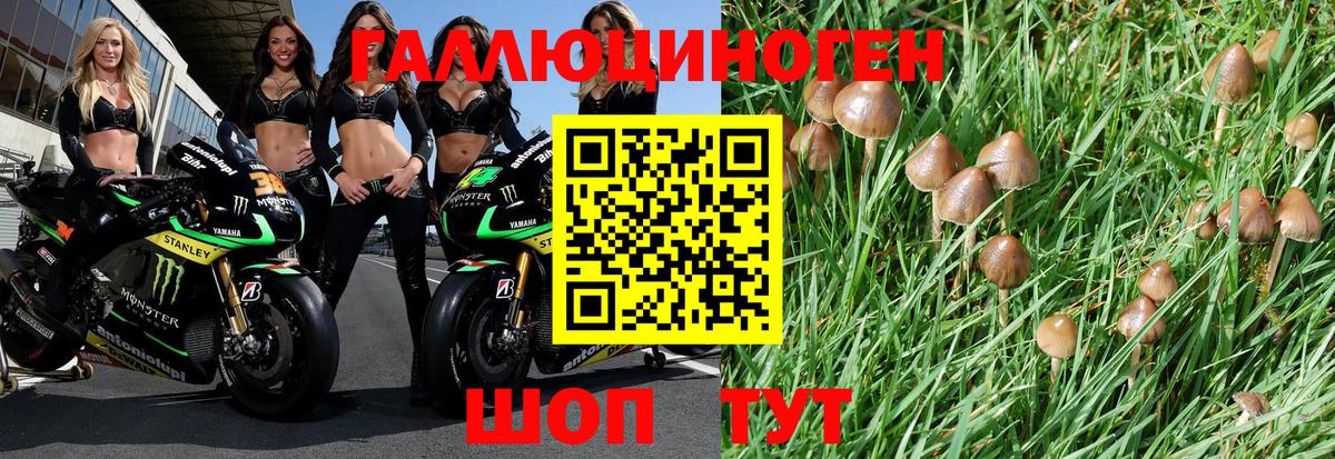 Псилоцибиновые грибы Psilocybine cubensis  Вход с VPN  Коломна 